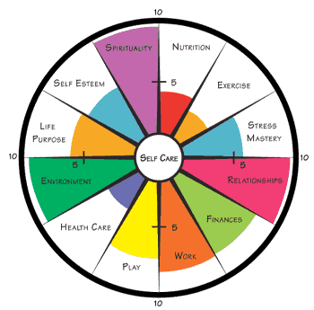 of life health and wellness coaching process how the circle of life ...